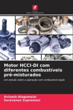 Motor HCCI-DI com diferentes combustíveis pré-misturados