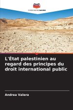 L'État palestinien au regard des principes du droit international public