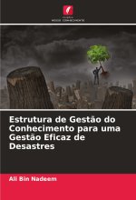 Estrutura de Gestão do Conhecimento para uma Gestão Eficaz de Desastres