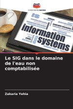 Le SIG dans le domaine de l'eau non comptabilisée