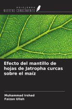 Efecto del mantillo de hojas de Jatropha curcas sobre el maíz