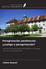 Peregrinación penitencial: ¿castigo o peregrinación?