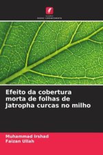 Efeito da cobertura morta de folhas de Jatropha curcas no milho