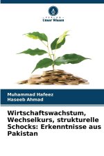 Wirtschaftswachstum, Wechselkurs, strukturelle Schocks: Erkenntnisse aus Pakistan