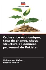 Croissance économique, taux de change, chocs structurels : données provenant du Pakistan