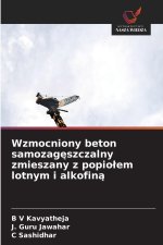 Wzmocniony beton samozag¿szczalny zmieszany z popio¿em lotnym i alkofin¿