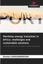 Maritime energy transition in Africa: challenges and sustainable solutions