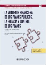 Vertiente financiera de los planes públicos. La eficacia y control de los planes