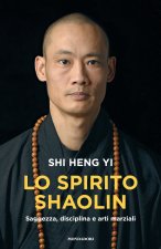 spirito shaolin. Saggezza, disciplina e arti marziali