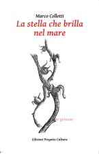stella che brilla nel mare