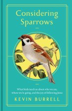 In Consideration of Sparrows