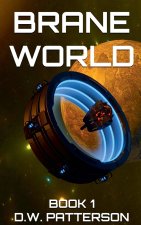 Brane World