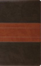 ESV Large Print Personal Size Bible, Red Letter, Indexed (Trutone, Forest/Tan, Trail Design)