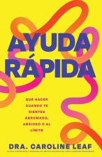 Ayuda Rápida