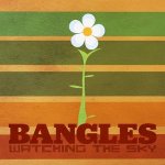 Watching the Sky