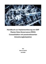 Handbuch zur Implementierung von SAP Master Data Governance (MDG) Consolidation
