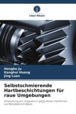 Selbstschmierende Hartbeschichtungen für raue Umgebungen