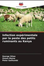 Infection expérimentale par la peste des petits ruminants au Kenya