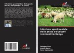Infezione sperimentale della peste dei piccoli ruminanti in Kenya