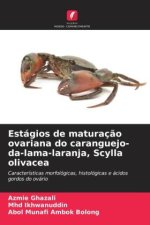 Estágios de maturação ovariana do caranguejo-da-lama-laranja, Scylla olivacea