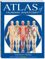 Atlas of the Human Anatomy: a QuickStudy Reference