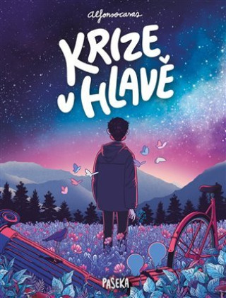 Krize v hlavě