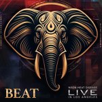 Beat:  Live