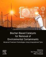 Biochar-Based Catalysts for Removal of Environmental Contaminants