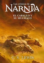 El caballo y su muchacho