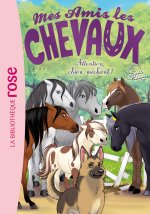Mes amis les chevaux 51