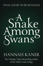 Wild Swans