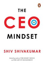 CEO Mindset