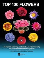 Top 100 Flowers