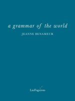 grammar of the world