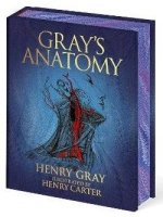 Gray's Anatomy