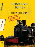 Wheel Spins