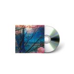 Idlewild:  Idlewild
