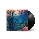 Idlewild:  Idlewild