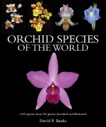 ORCHID SPECIES OF THE WORLD