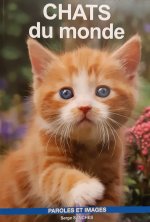 CHATS DU MONDE