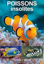 POISSONS insolites
