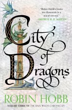 CITY OF DRAGONS