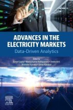 Advances in the Electricity Markets