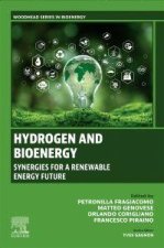 Hydrogen and Bioenergy