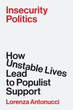 Insecurity Politics