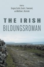 Irish Bildungsroman