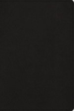Nbla, Biblia Para La Lectura Pública, Versificada, Letra Grande, Piel de Cabra, Negro