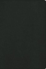 Nbla, Biblia Para La Lectura Pública, Versificada, Letra Grande, Piel de Cabra, Verde