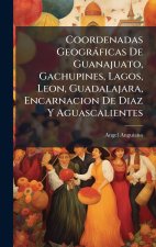Coordenadas Geogràficas De Guanajuato, Gachupines, Lagos, Leon, Guadalajara, Encarnacion De Diaz Y Aguascalientes