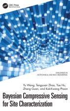 Bayesian Compressive Sensing for Site Characterization
